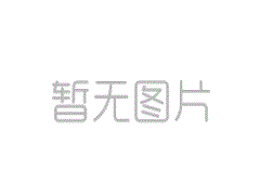 边境警察在草坪“战斗”上发现一只狼：罗伊·迪
